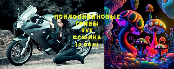 ПСИЛОЦИБИНОВЫЕ ГРИБЫ Приозерск