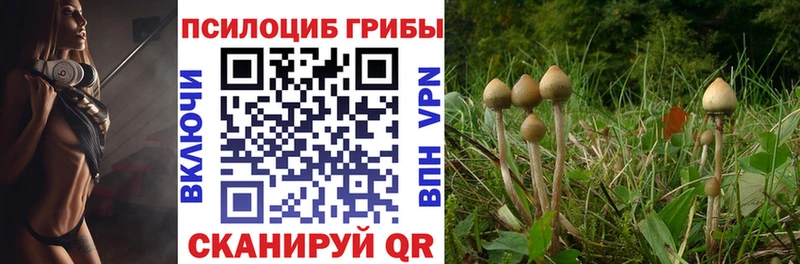 Галлюциногенные грибы ЛСД  Алатырь 